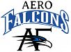 Aerofalcons Aviation Services & Training