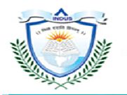 Indus College of Education