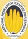 National Research Centre for Banana