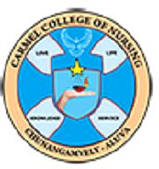 Carmel College of Nursing Chunangamvely