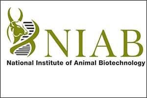 National Institute of Animal Biotechnology