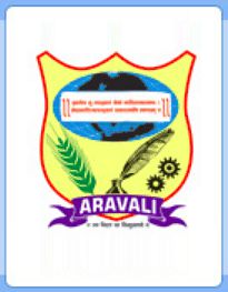 Aravali Institute of Management