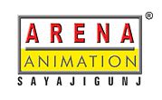 Arena Animation Sayajigunj